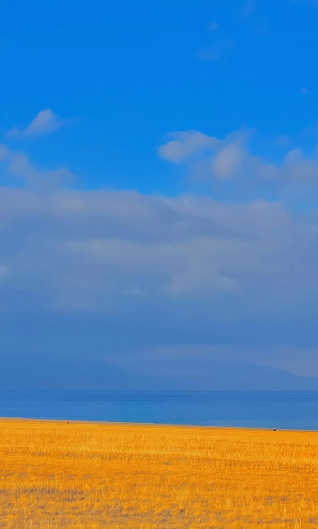 賽里木湖秋日環湖終極攻略 | 闖入一場盛大的金色夢境 賽里木湖秋日環湖終極攻略 | 闖入一場盛大的金色夢境