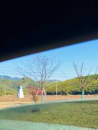 古寺，千年銀杏