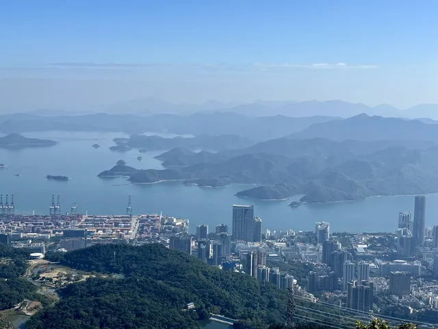 偶遇梧桐日落 偶遇梧桐日落