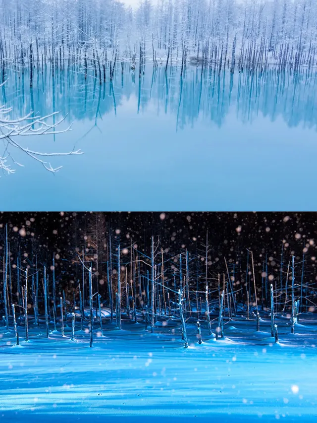 北海道冬季四日遊|札幌出發懶人包! 北海道冬季四日遊|札幌出發懶人包!