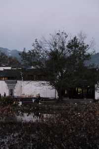 沒拍到李現視角，卻收穫了同款胃滿足～