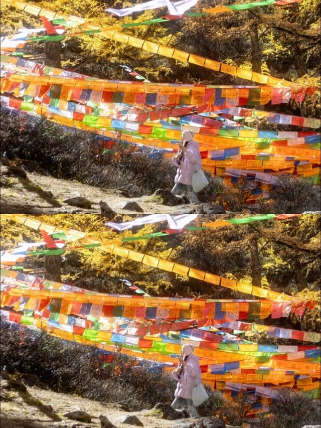 稻城亞丁|沖古寺和神秘的經幡森林 稻城亞丁|沖古寺和神秘的經幡森林