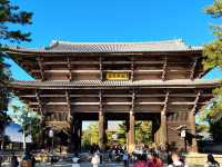 11月好去處|奈良東大寺:古韻與秋色共舞