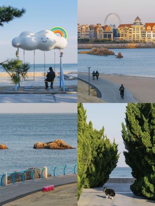Qingdao Seaside Park Hidden Gems Guide|Unlock the Healing Coastal Slow Time