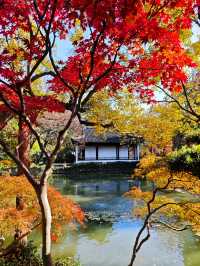 青浦隱世秋色地圖驚嘆老祖宗的審美