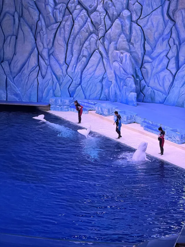 珠海長隆遛了3個2歲娃|酒店房型選擇攻略 珠海長隆遛了3個2歲娃|酒店房型選擇攻略