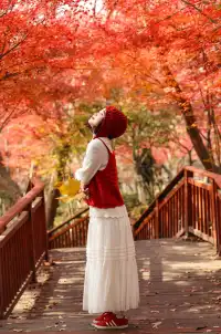 12·1南京棲霞山紅楓進入觀賞期～附路線～