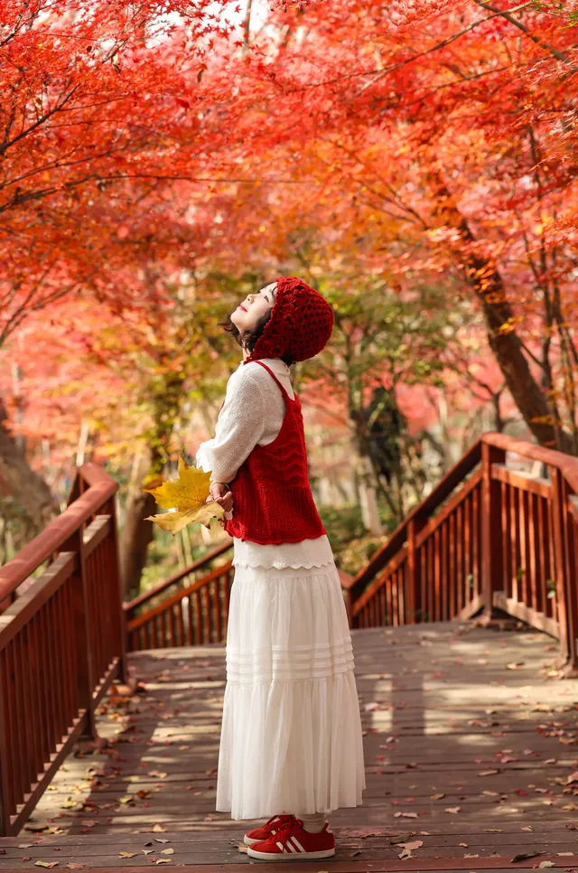 12·1南京棲霞山紅楓進入觀賞期～附路線～