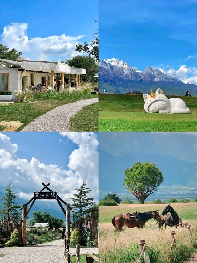 🏔️ 玉龍雪山腳下絕美🏔免費拍照打卡的牧場! 🏔️ 玉龍雪山腳下絕美🏔免費拍照打卡的牧場!