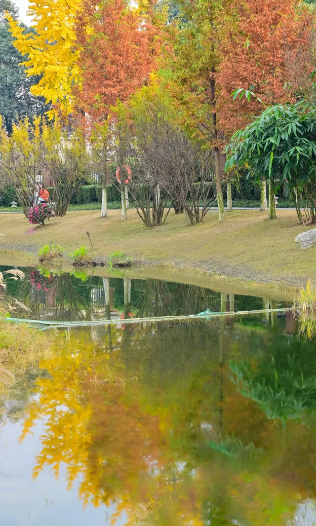 不是蘇州園林，是成都易園