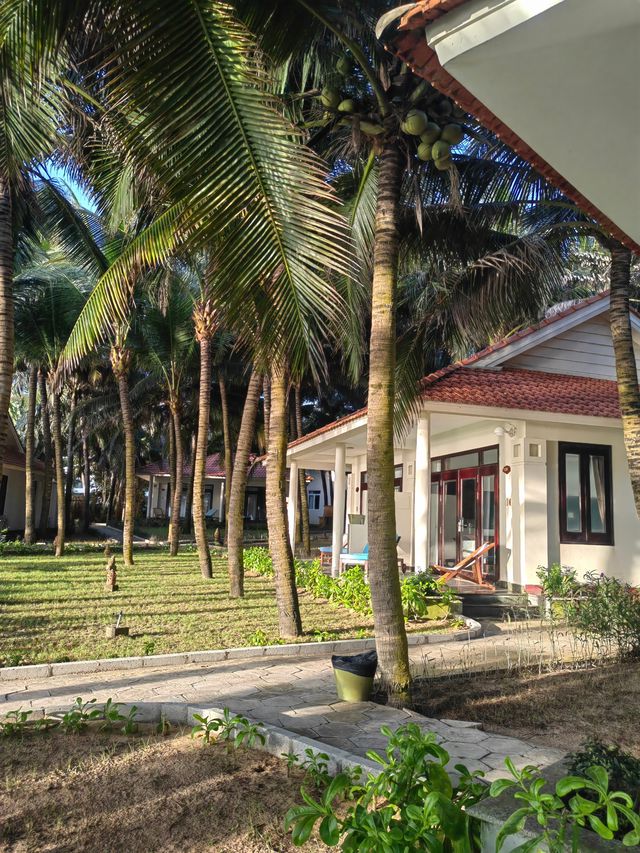 越南美奈｜椰林白浪間的絕美度假天堂  必去理由 一半沙漠一半海！東南亞小眾秘境美到窒息！ 