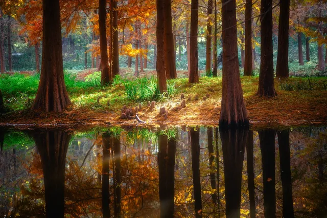連夜來到南京只為拍到這幾張