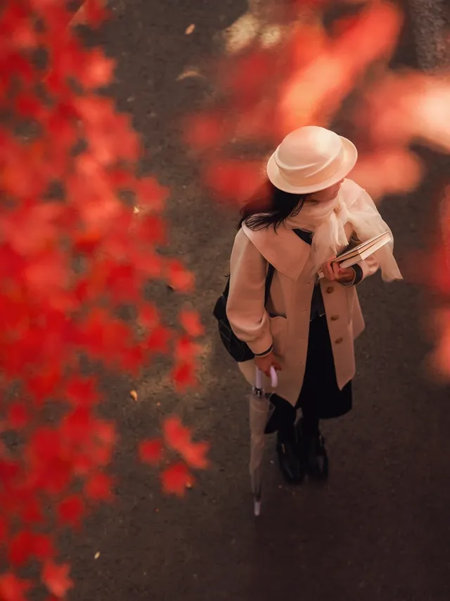 12.5實況|中山植物園這幾個機位包出片的! 12.5實況|中山植物園這幾個機位包出片的!