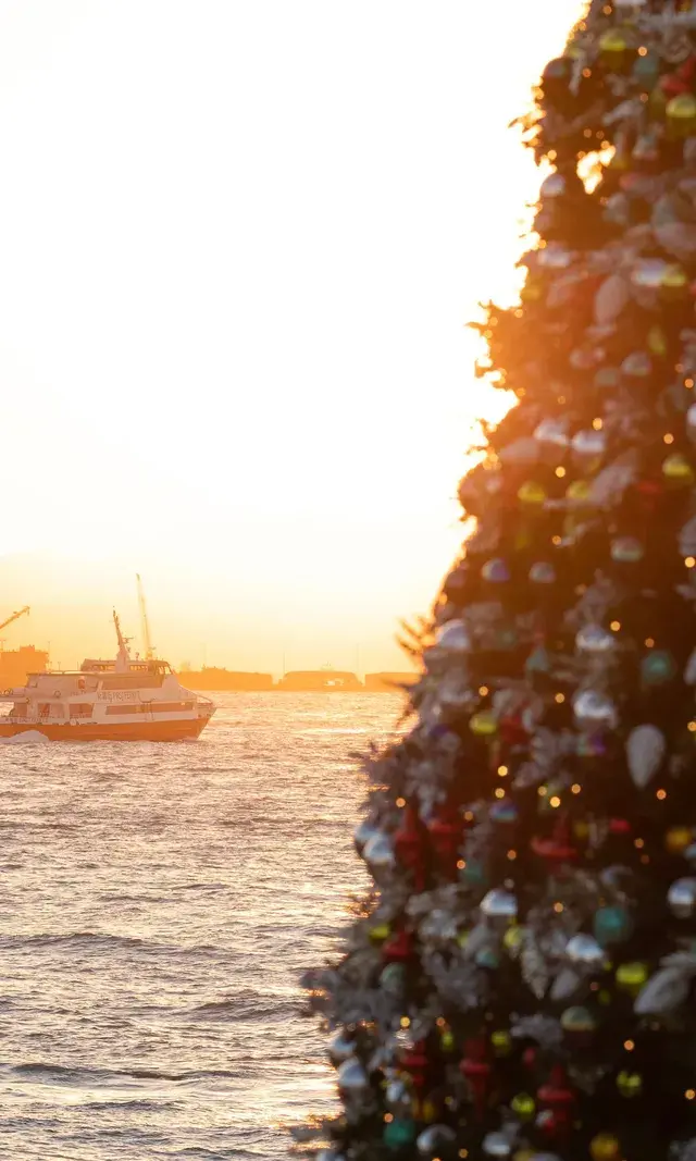 香港|12月,期待日落晚風中的海邊聖誕樹 香港|12月,期待日落晚風中的海邊聖誕樹