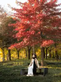 被問瘋的上海楓葉旋梯錯過真的等一年…