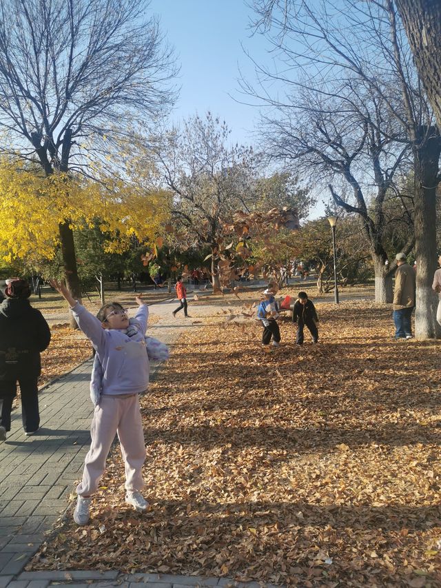 天津中山公園｜秋日限定的金色童話世界  落日銀杏+古建長廊！隨手拍都是電影感大片   天津秋日頂流