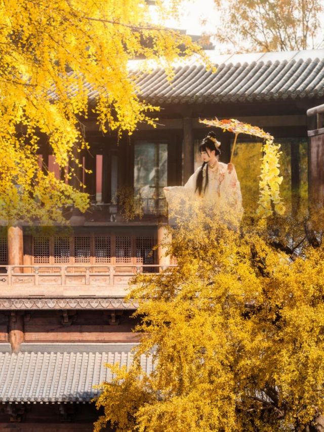 迄今為止,我最愛的江南古鎮出現啦 迄今為止,我最愛的江南古鎮出現啦