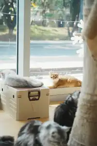 廣州阿那亞的日與夜,出乎意料的好逛