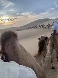 響沙灣|把浪漫寫在沙漠裡