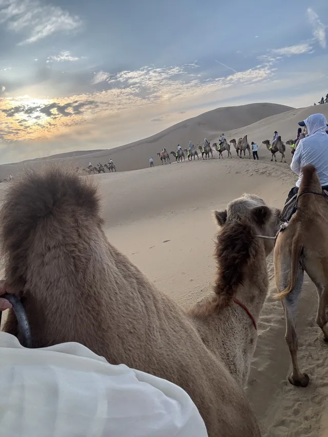 響沙灣|把浪漫寫在沙漠裡 響沙灣|把浪漫寫在沙漠裡