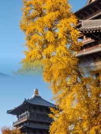 迄今為止,我最愛的江南古鎮出現啦