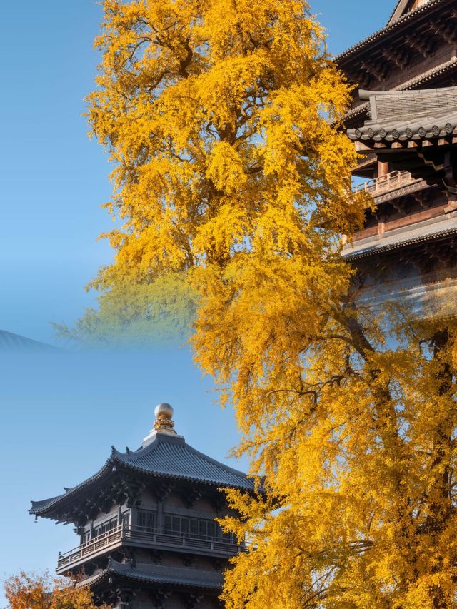 迄今為止,我最愛的江南古鎮出現啦 迄今為止,我最愛的江南古鎮出現啦