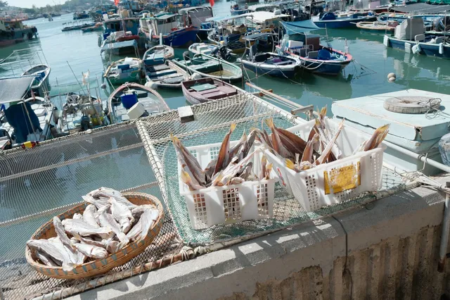 晴天的長洲島真的好美!!|富士拍照 晴天的長洲島真的好美!!|富士拍照