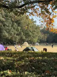 這風景好美,真的好想讓所有人🫘看到
