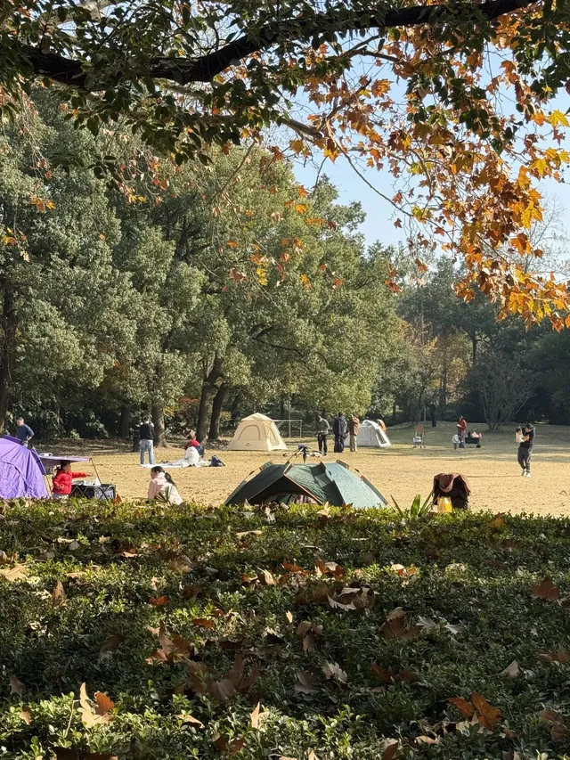 這風景好美,真的好想讓所有人🫘看到 這風景好美,真的好想讓所有人🫘看到