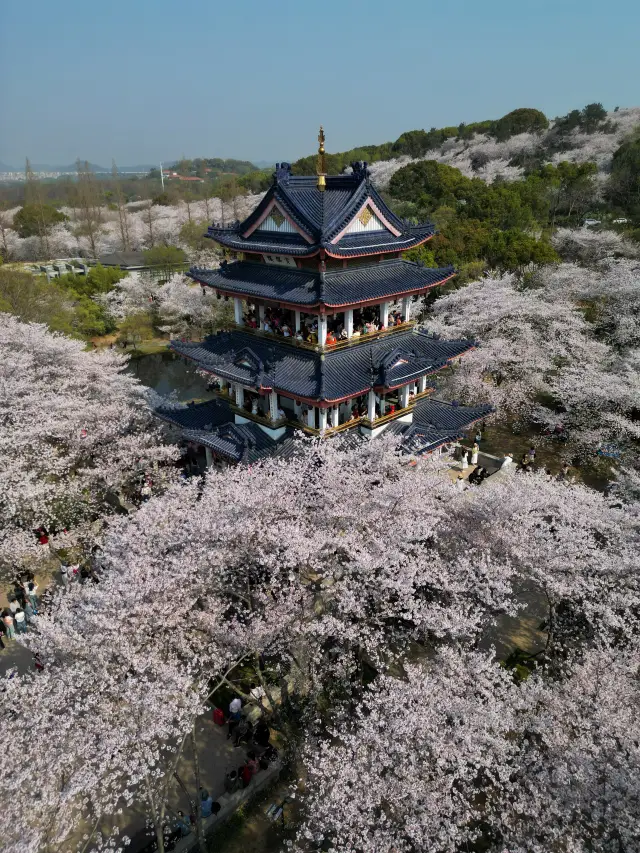 Wuxi Yuantouzhu! Must-save route to avoid crowds