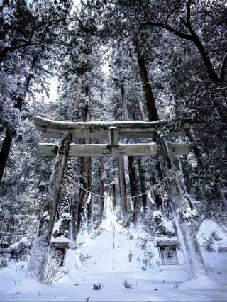 Takazumi Shrine in Fukuoka - A Tranquil Place for Prayers in the Heart of the City