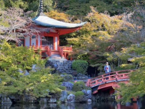 Overseas Trip - Daigo-ji Temple and Taizo-in Temple in Kyoto, Japan