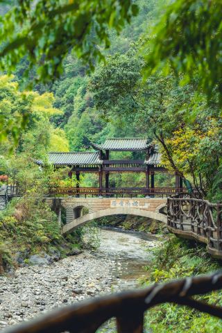 Bashan Grand Canyon Free Admission, Sichuan Super League Finals Benefits Are Here