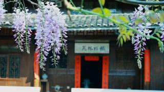 Escape the city with this healing-style guesthouse hidden in Suining—it's absolutely amazing!