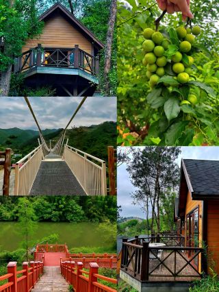 신의 삼화리 휴양지｜5월 1일 커플들이 산소 마시기 좋은 곳