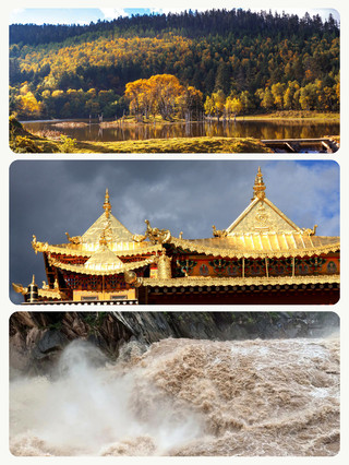 帶父母不累的個省心玩法