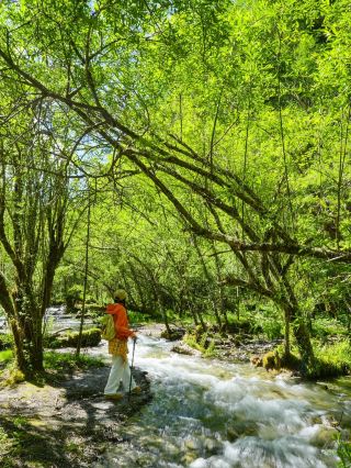 Kalong Valley in western Sichuan, Sichuan culture and tourism, aren’t you neglecting to promote this place!!