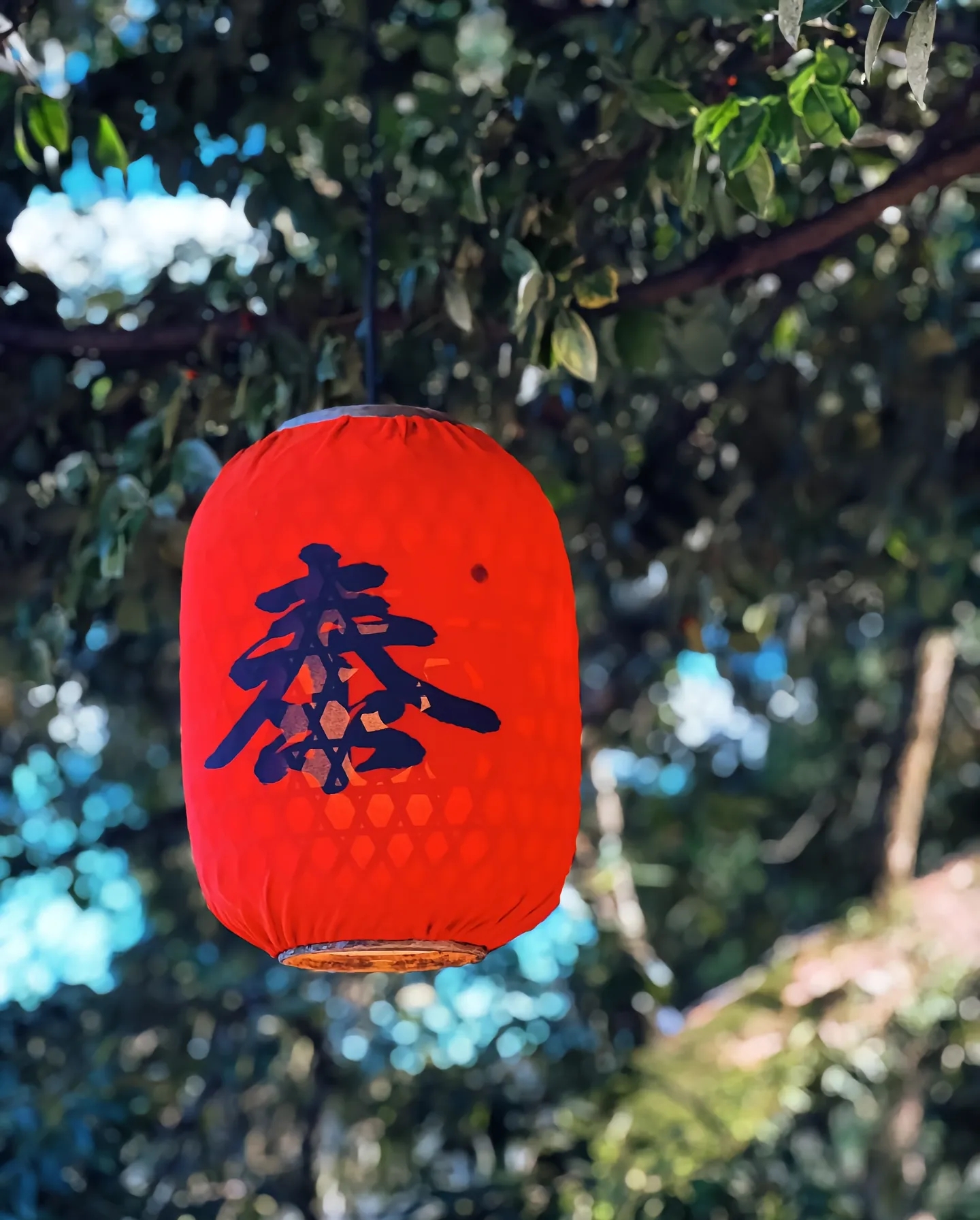 Hướng dẫn du lịch toàn diện Khu thắng cảnh Nanpuxi ở Taishun, Ôn Châu: Nằm ở làng Muwan, thị trấn Nanpuxi, huyện Taishun, thành phố Ôn Châu, tỉnh Chiết Giang, Khu thắng cảnh Nanpuxi được biết đến như là "Cửu Bách Châu của miền Nam Chiết Giang".