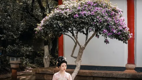 Wear Tang suits at Mu's Residence in Lijiang and capture photos of a lifetime! — traveler post in Jining