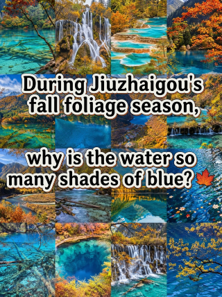 Jiuzhaigou's colorful forest season: Why are there so many shades of blue in the water?