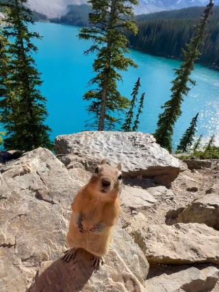 10일간의 캐나다 완전 정복, 초보자도 따라 할 수 있는 완벽 가이드 저장 필수