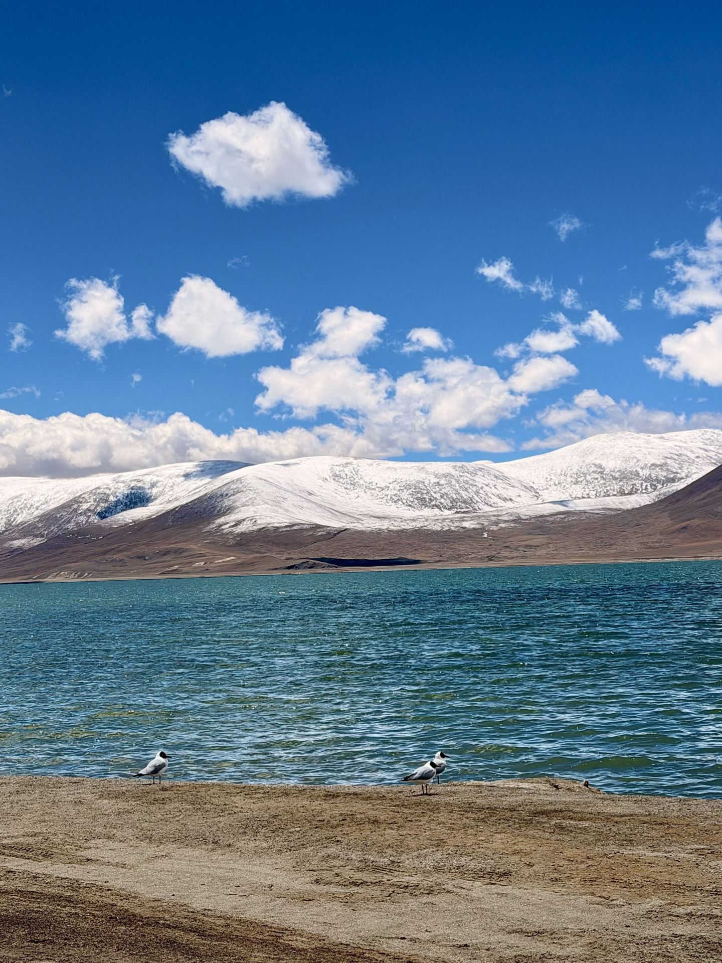 Autumn in Lhasa-Shigatse-Ngari is breathtakingly beautiful