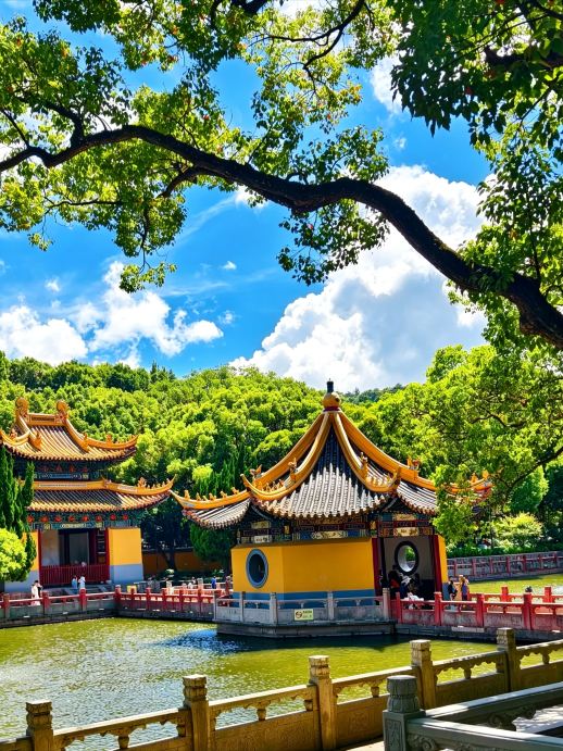 2 ngày 1 đêm ở Giang Tô, Chiết Giang và Thượng Hải: Lần đầu tiên đến Putuoshan, ở phòng hướng biển tại khách sạn Zizhu Xingshe và tham quan tất cả các điểm du lịch nổi tiếng.