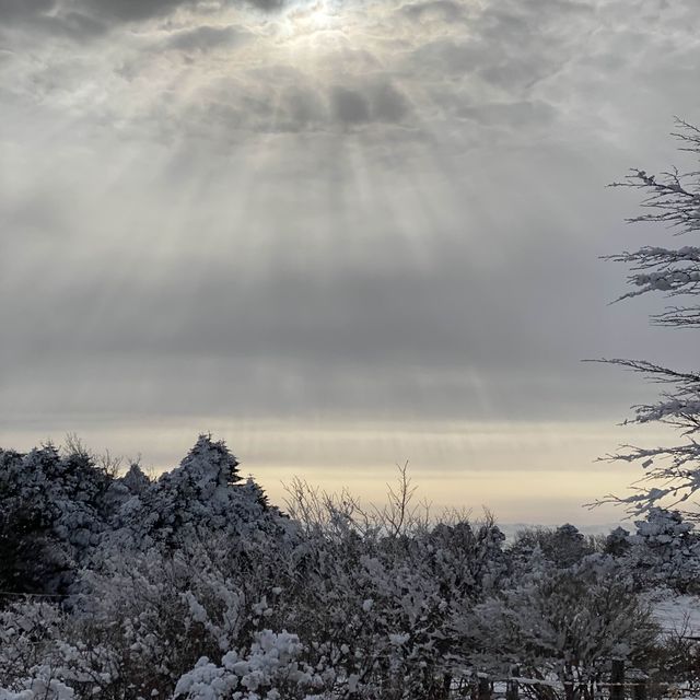 제주도 한라산 백록담 눈쌓인 설산 보고왔어요