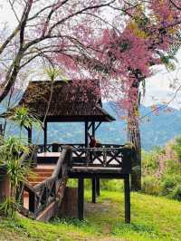 อุทยานแห่งชาติแม่จริม