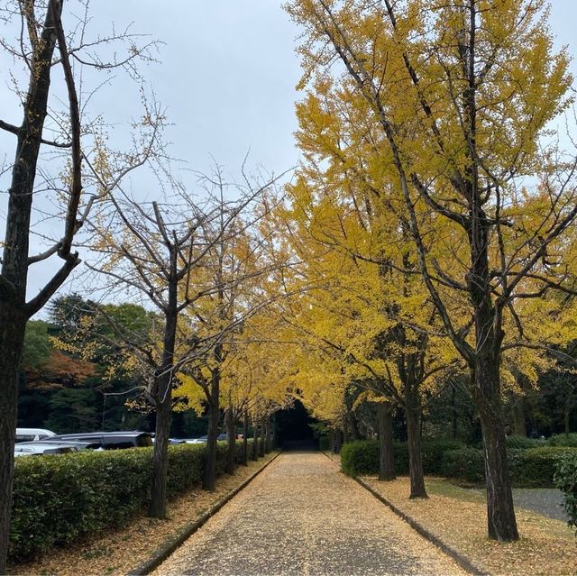 名古屋必到熱田神宮