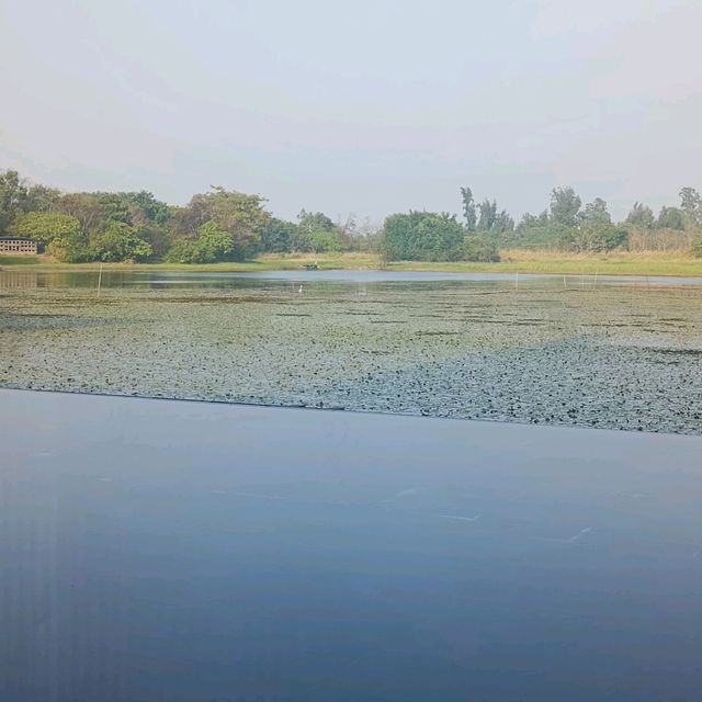 香港濕地公園