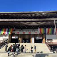 일본전통스타일을 느낄수 있는 현지인 관광지!🍵나리타 신쇼지 🇯🇵
