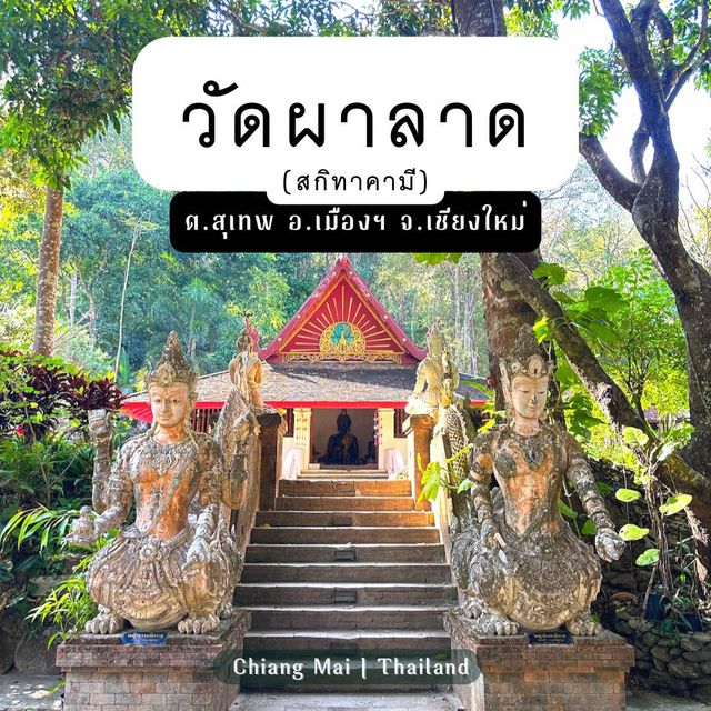วัดผาลาด วัดลับๆ บนดอยสุเทพ ที่ไม่ควรพลาด