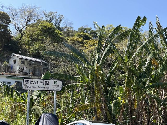 挑戰成功！由馬鞍山村出發行上昂平草原